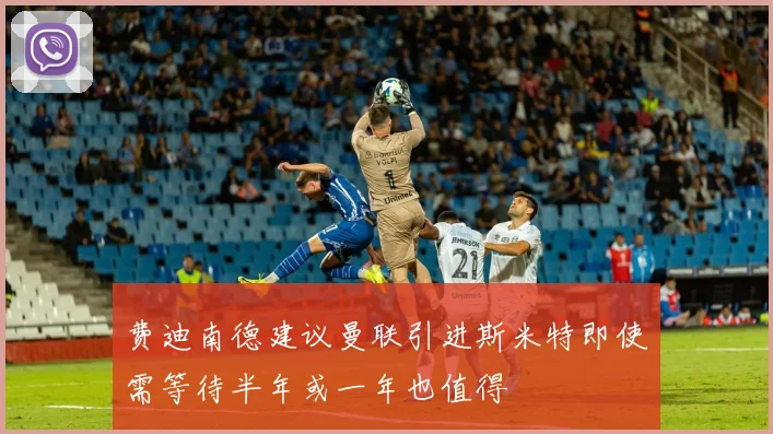 费迪南德建议曼联引进斯米特即使需等待半年或一年也值得